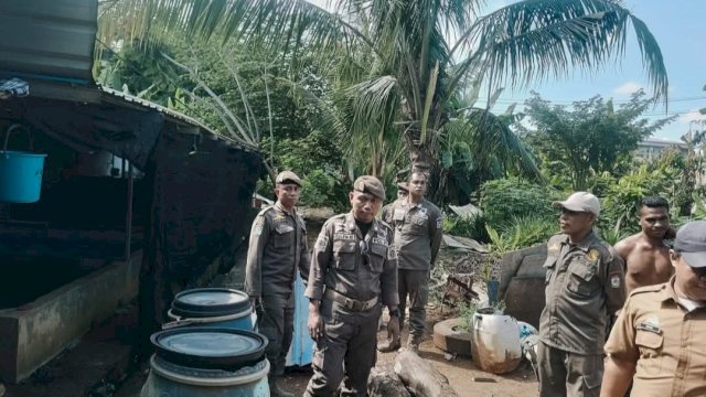 Viral Kandang Babi di Gudang Farmasi, Camat Tamalate Turun Tangan: Kini Sudah Dipindahkan