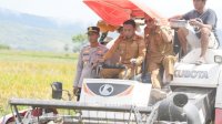 Bupati Sidrap Turun Sawah, Panen Raya di Desa Lise Capai 9,1 Ton per Hektare