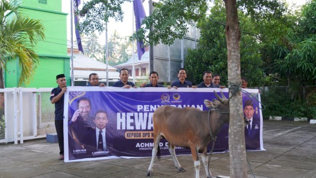 Legislator NasDem Achmad Daeng Sere Serahkan Hewan Kurban untuk Warga Selayar
