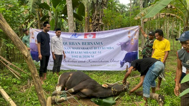 Bupati Andi Utta Apresiasi Qurban Bersama KM Bulukumba, 13 Sapi Disalurkan hingga Pelosok Desa