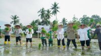 Pertanian Jadi Jantung Barru, Pemkab Percepat Tanam Program Oplah