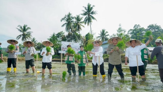 Pertanian Jadi Jantung Barru, Pemkab Percepat Tanam Program Oplah