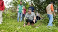 Wabup Barru Tinjau Kebun Kopi Pujananting, Dorong Hilirisasi dan Branding