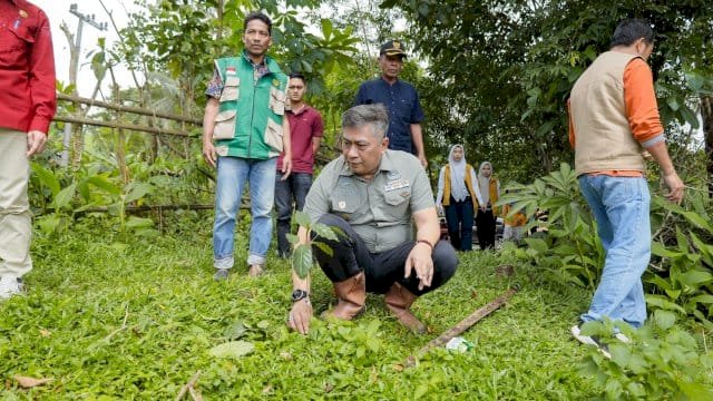 Wabup Barru Tinjau Kebun Kopi Pujananting, Dorong Hilirisasi dan Branding