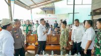 Wabup Barru Ikuti Panen Raya, Produktivitas Capai 6 Ton per Hektare