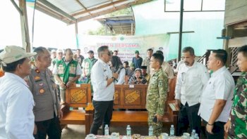 Wabup Barru Ikuti Panen Raya, Produktivitas Capai 6 Ton per Hektare