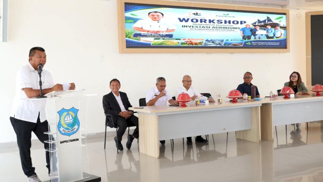 Bangun Ekosistem Investasi Agribisnis, Bulukumba Didorong Jadi Pusat Pertumbuhan Ekonomi Baru
