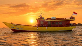 Wali Kota Munafri Soft Launching Pete-pete Laut 12 Juni