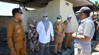 Wagub Sulsel Dorong Limbah Ternak di Sidrap Diolah Jadi Pupuk Organik Bernilai Ekonomi