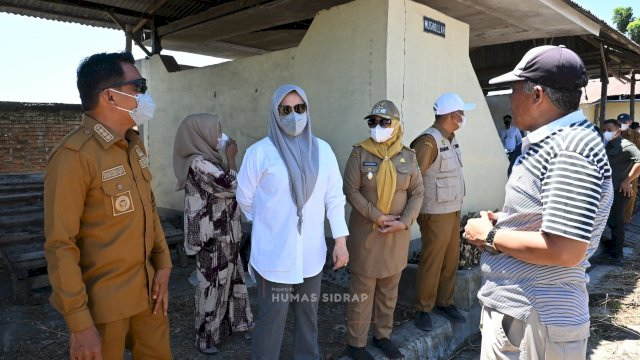 Wagub Sulsel Dorong Limbah Ternak di Sidrap Diolah Jadi Pupuk Organik Bernilai Ekonomi