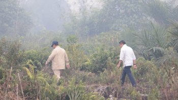Presiden Prabowo Cek Langsung Karhutla di Kubu Raya, Perintahkan Tambah Pompa dan Sumur Bor
