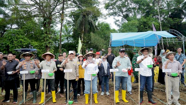 Bupati Barru Dorong Kemandirian Benih Jagung