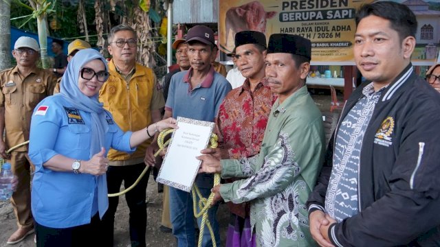Bupati Barru Serahkan Sapi Kurban Presiden di Desa Nepo, Dorong Penguatan Ekonomi Peternakan Lokal