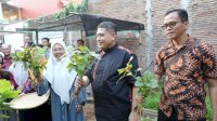 Walikota Makassar dan Istri Gelar Panen Bersama di urban Farming