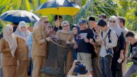 Bupati Barru Turun Langsung Pimpin Panen Udang Vaname