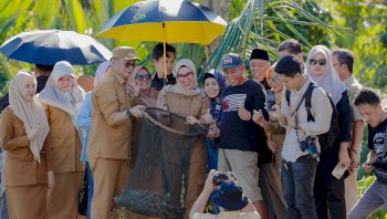 Bupati Barru Turun Langsung Pimpin Panen Udang Vaname