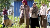 Wakil Wali Kota Makassar Tinjau Kesiapan Gunung Sari Hadapi Lomba Kelurahan Berprestasi 2026