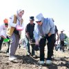 Barru Jadi Lokasi Penangkar Benih Jagung Unhas-Taiwan, Andi Ina Dorong Kolaborasi Cetak Petani Naik Kelas