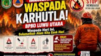 Waspada Karhutla, BPBD Luwu Utara Ingatkan Pembakar Lahan Bisa Dipidana dan Didenda Besar