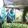 Bukan Sekadar Lomba, TP PKK Makassar Dorong Kebun Aku Hatinya Jadi Sumber Pangan Keluarga