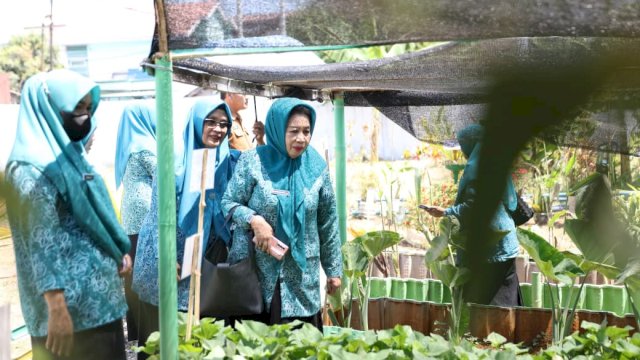 Bukan Sekadar Lomba, TP PKK Makassar Dorong Kebun Aku Hatinya Jadi Sumber Pangan Keluarga