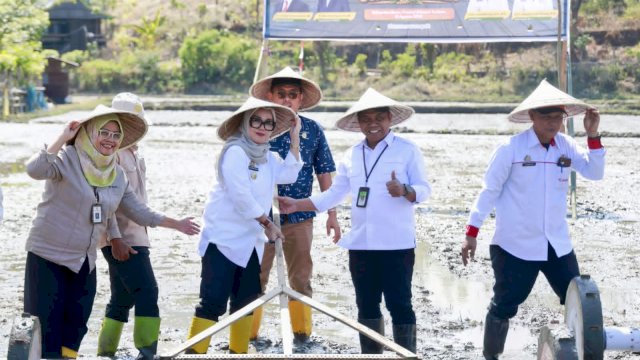 Barru Dipilih Jadi Lokasi Gerakan Tanam Serempak Nasional, Andi Ina: Harus Berujung pada Kesejahteraan Petani