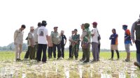 Bantu Petani Hadapi Kemarau, Bupati Luwu Serahkan Pompa Air di Desa Babang