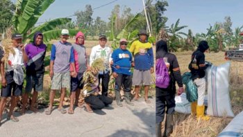 Kemarau Tak Putuskan Panen, Listrik Masuk Sawah Bantu Petani Kadidi