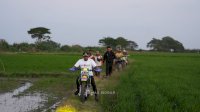 Sawah Arateng Dilanda Kekeringan, Bupati Sidrap Salurkan 18 Pompa Air untuk Petani