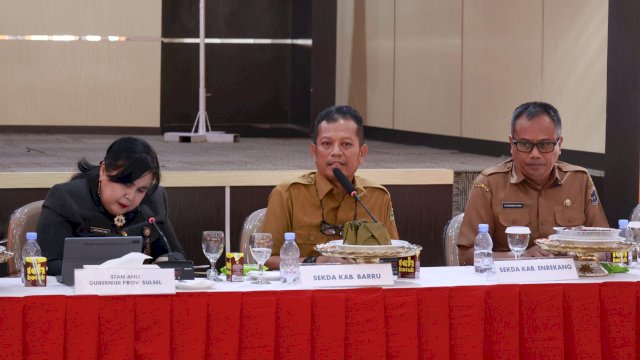 RDP Komisi II DPR RI, Wabup Barru Soroti Kepastian Pelayanan Pertanahan dan HGU