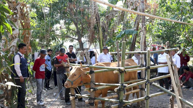 Sapi Diobati, Kucing Divaksin: Jambore Pelayanan Publik Bulukumba Hadir di Gantarang