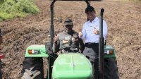 Pengembangan 137 Ribu Hektare Pertanian di Papua Didorong, Petani Lokal Jadi Ujung Tombak Modernisasi