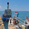 Apartemen Ikan Diturunkan ke Dasar Laut, Bulukumba Ciptakan Habitat Baru Dekat Pantai