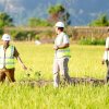 Gubernur Sulsel Tinjau Rehabilitasi Irigasi Leang Londrong, Perkuat Pasokan Air untuk 1.200 Hektare Sawah di Pangkep