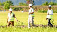 Gubernur Sulsel Tinjau Rehabilitasi Irigasi Leang Londrong, Perkuat Pasokan Air untuk 1.200 Hektare Sawah di Pangkep