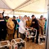 Panen 10,4 Ton per Hektare di Tengah Kekeringan, Sidrap Buktikan Pertanian Modern Mampu Bertahan