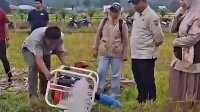 Menjaga Sawah Tetap Hijau di Tengah Ancaman El Nino, Pemprov Sulsel Kerahkan 300 Pompa dan 100 Sumur Bor