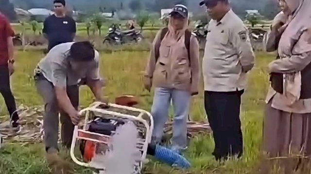 Menjaga Sawah Tetap Hijau di Tengah Ancaman El Nino, Pemprov Sulsel Kerahkan 300 Pompa dan 100 Sumur Bor